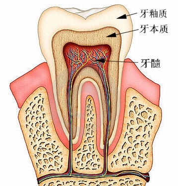 Xʲô(hu)