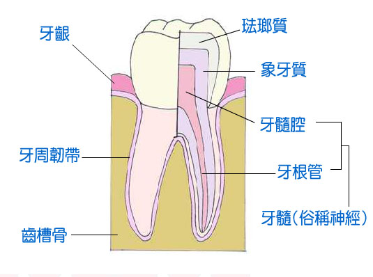 X(jng)ʹԼÆ